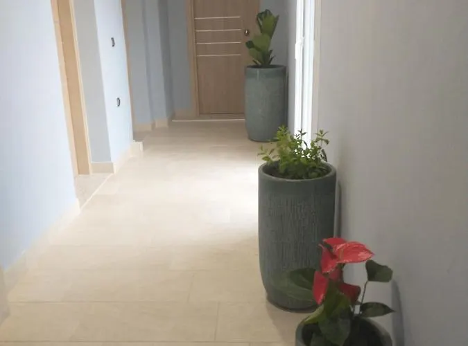 Menta Guest house 3*